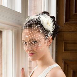 Spotted veiling ivory birdcage veil